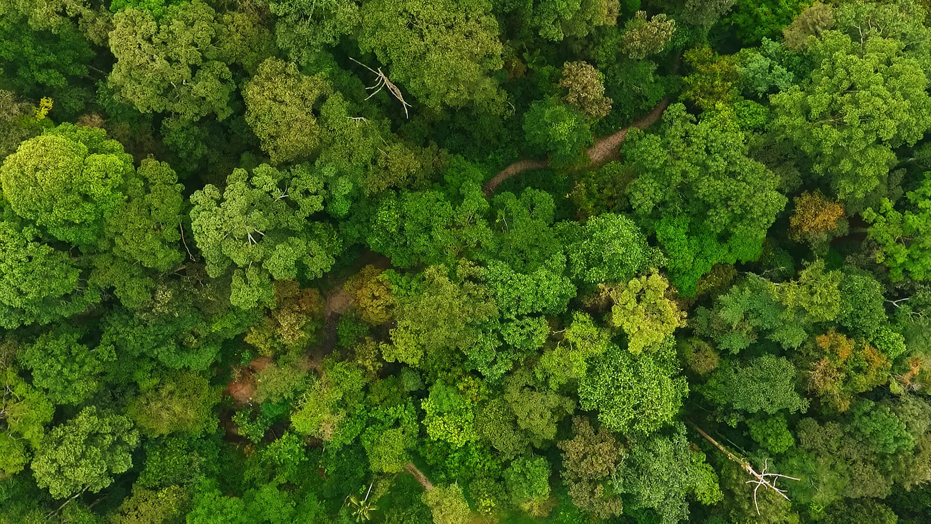 City Point